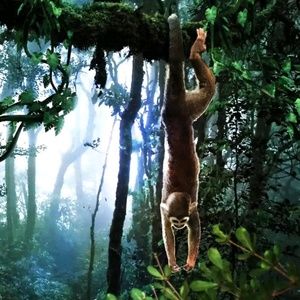 Meet your Posher, Cory